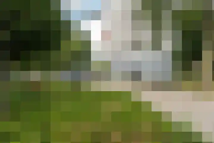 Elviraland 220 Den Haag thumbnail 9