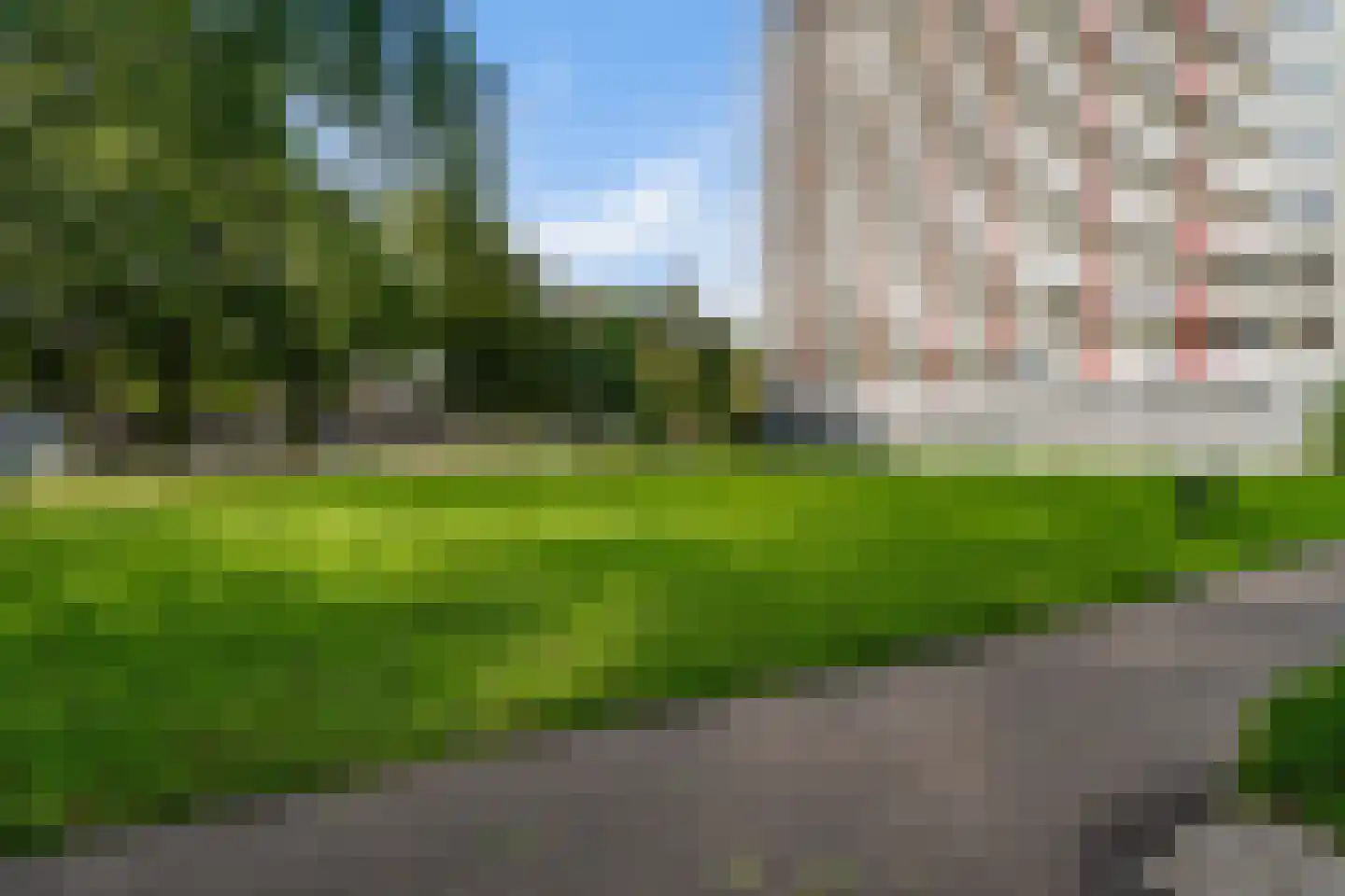 Elviraland 220 Den Haag thumbnail 9