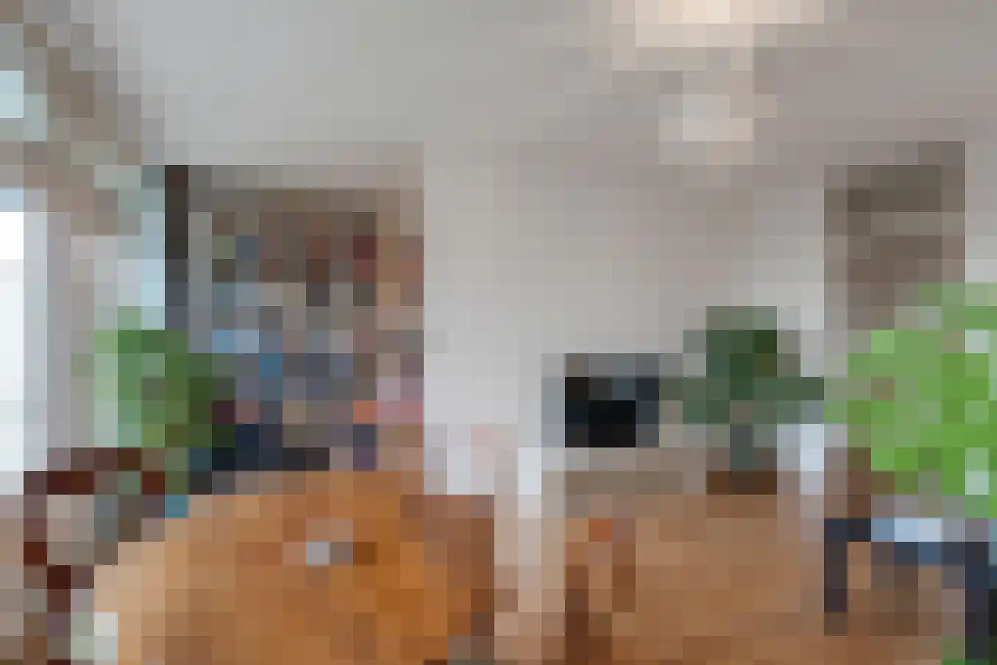 Elviraland 234 Den Haag thumbnail 20