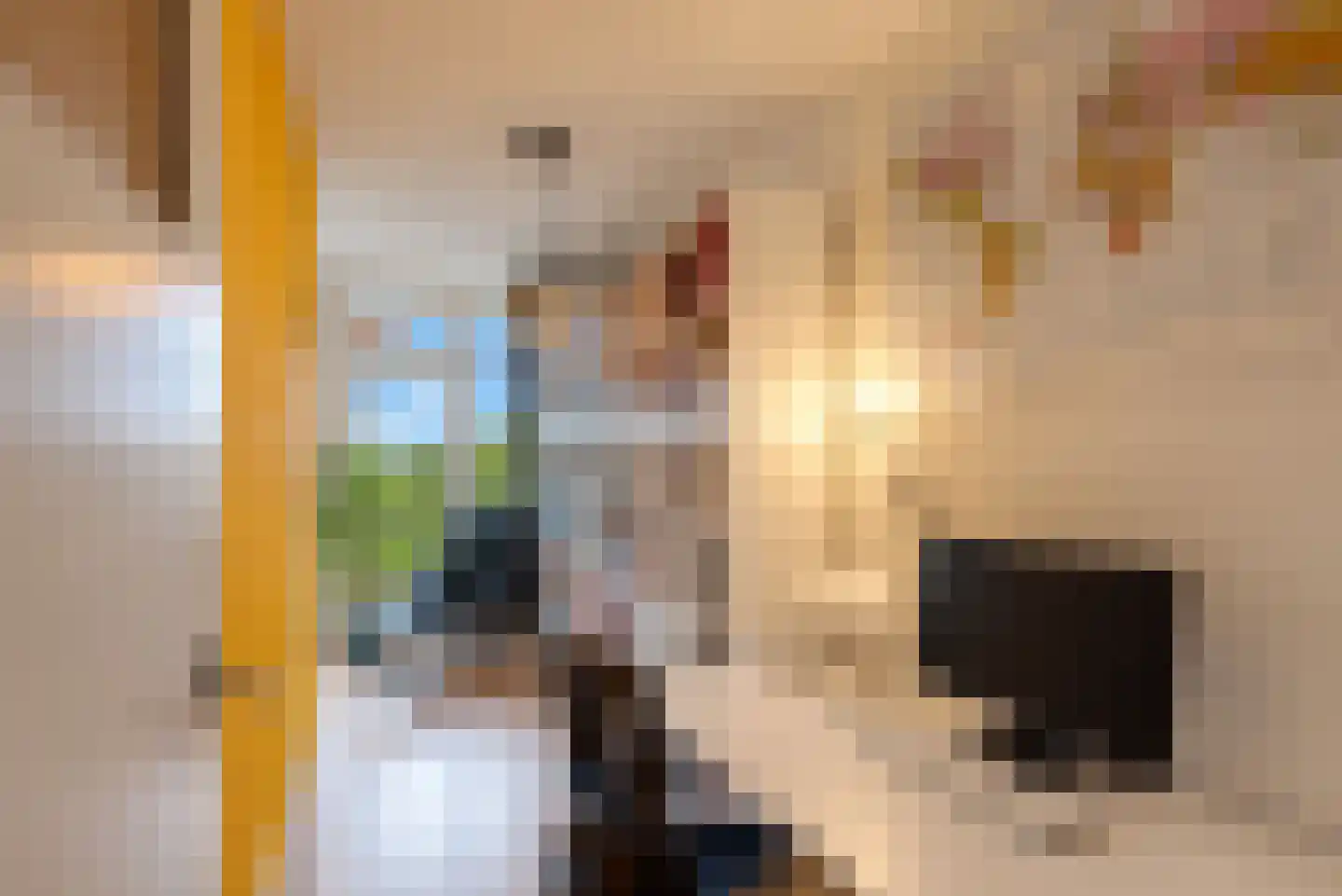Elviraland 234 Den Haag thumbnail 23