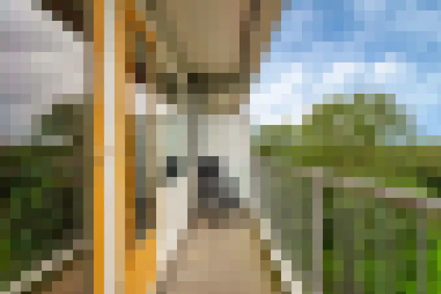 Elviraland 234 Den Haag thumbnail 24
