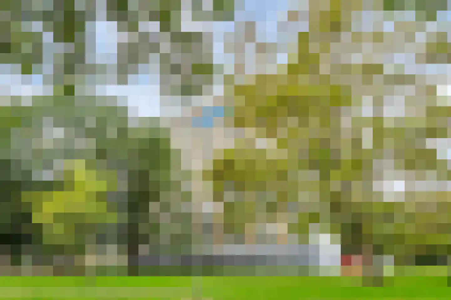 Elviraland 234 Den Haag thumbnail 6