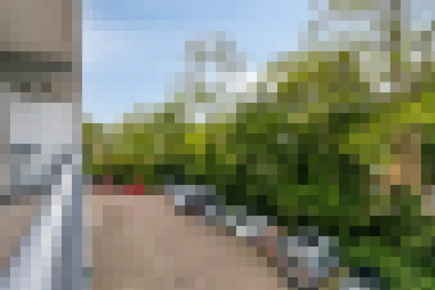 Elviraland 24 Den Haag thumbnail 14