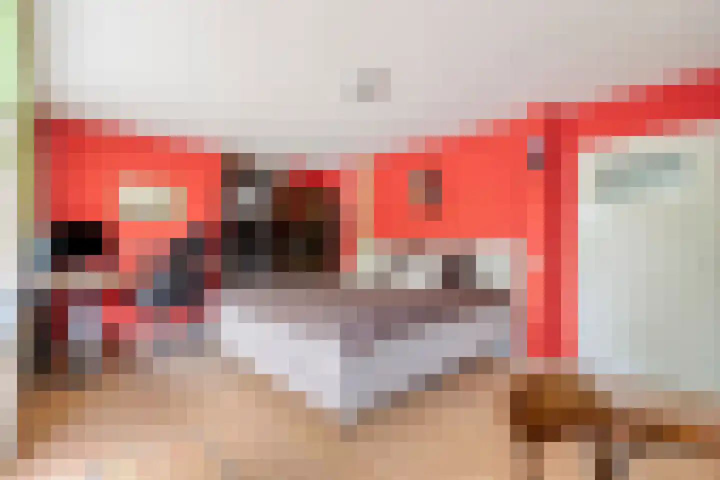 Elviraland 43 Den Haag thumbnail 12