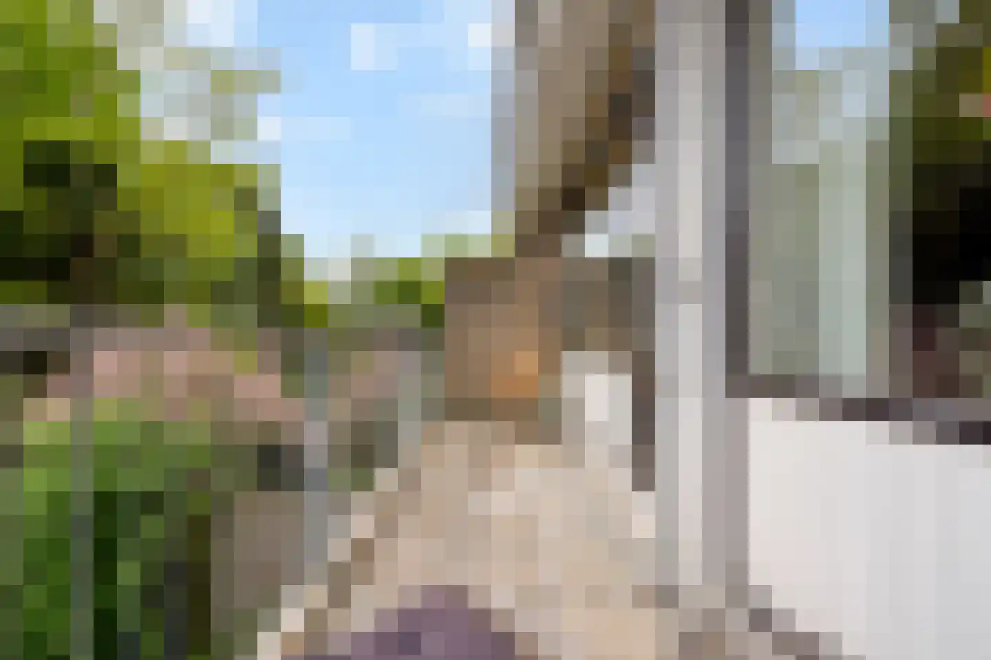 Elviraland 43 Den Haag thumbnail 22