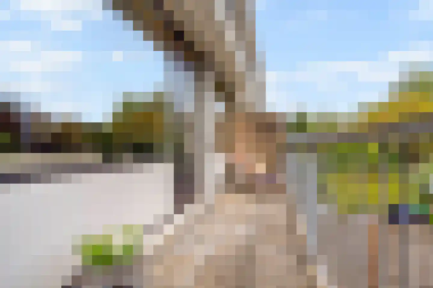 Elviraland 43 Den Haag thumbnail 23