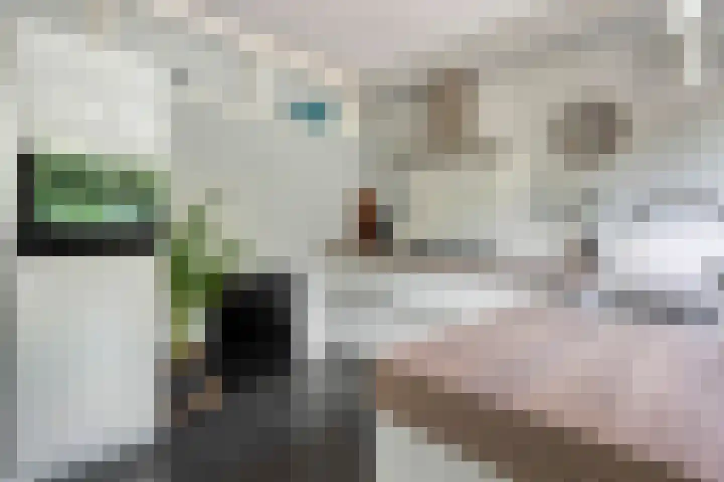 Elviraland 43 Den Haag thumbnail 25