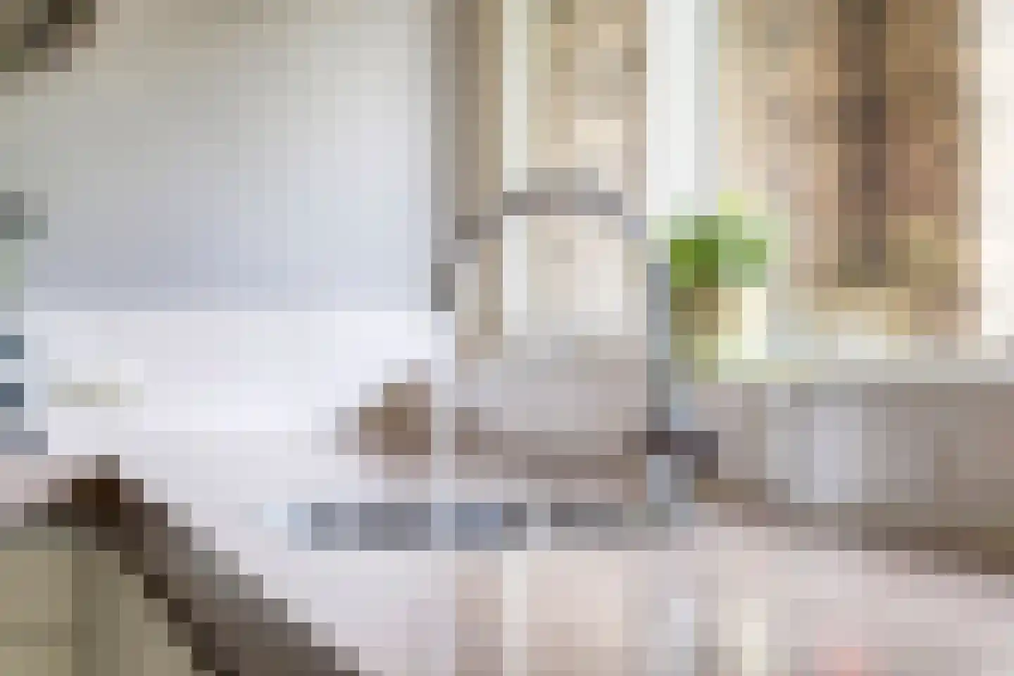 Elviraland 43 Den Haag thumbnail 27