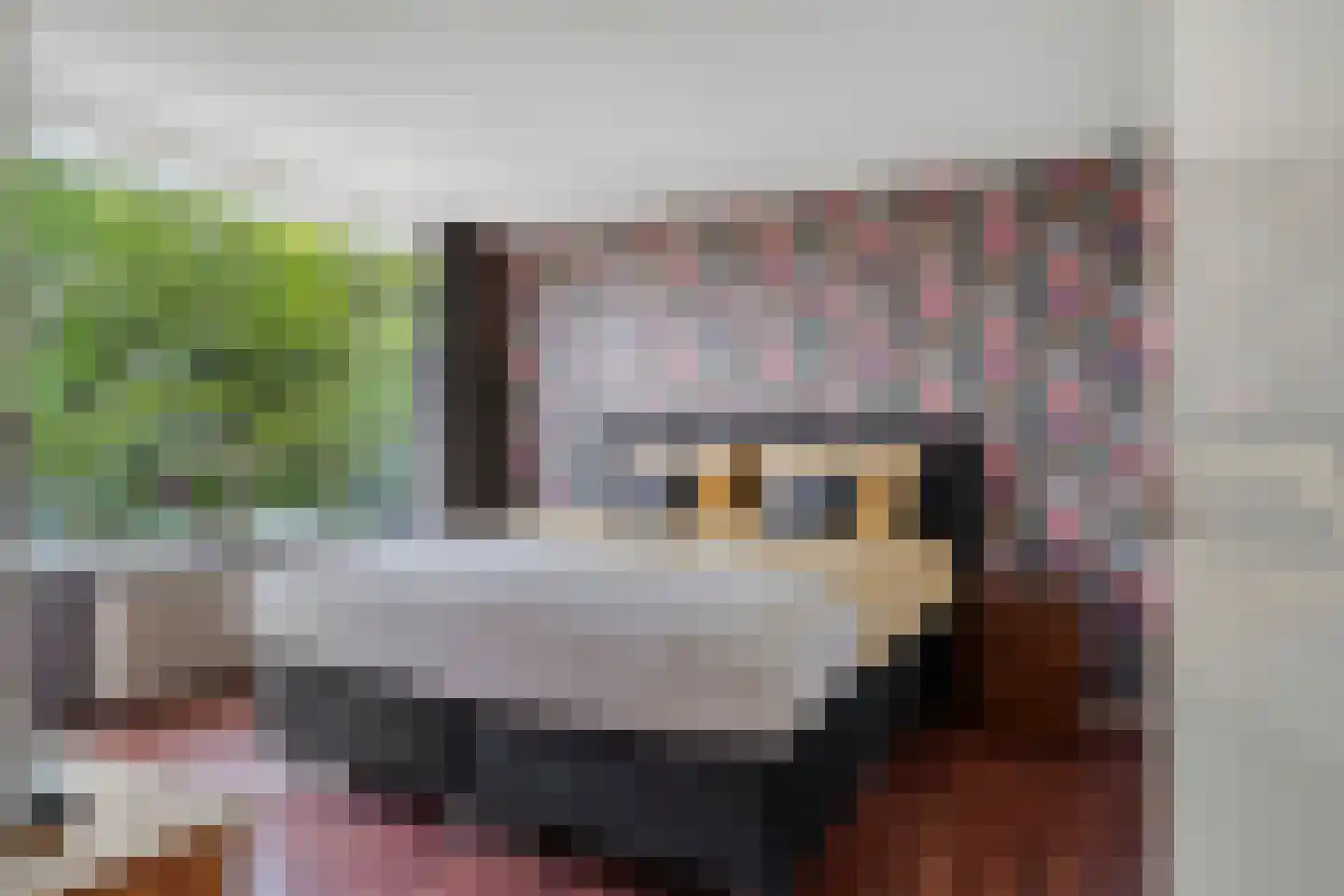 Elviraland 43 Den Haag thumbnail 4