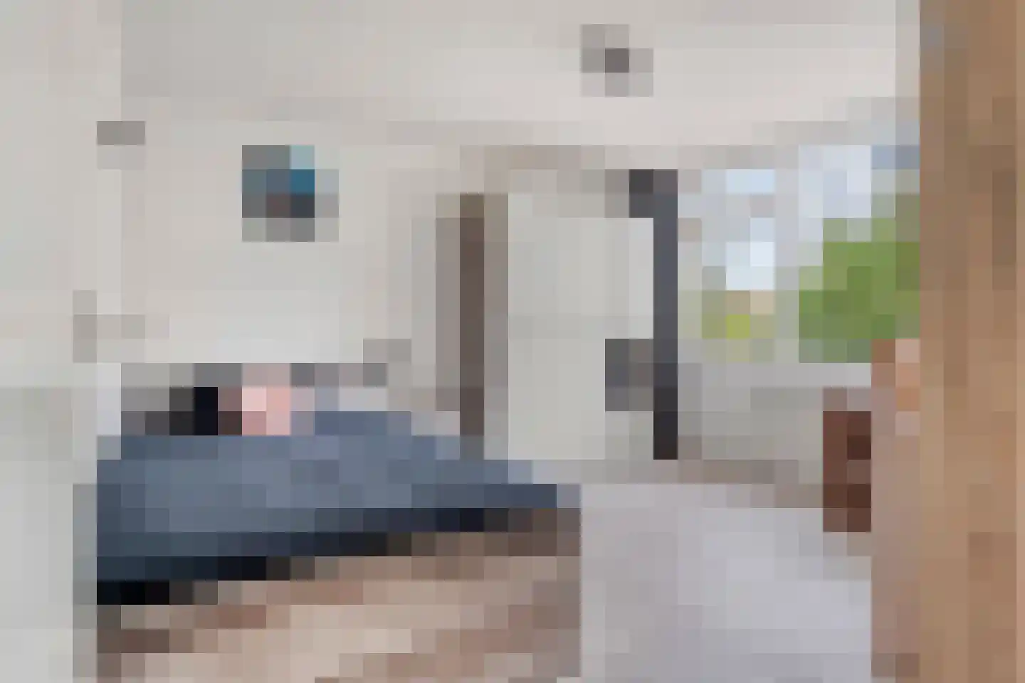 Elviraland 43 Den Haag thumbnail 40