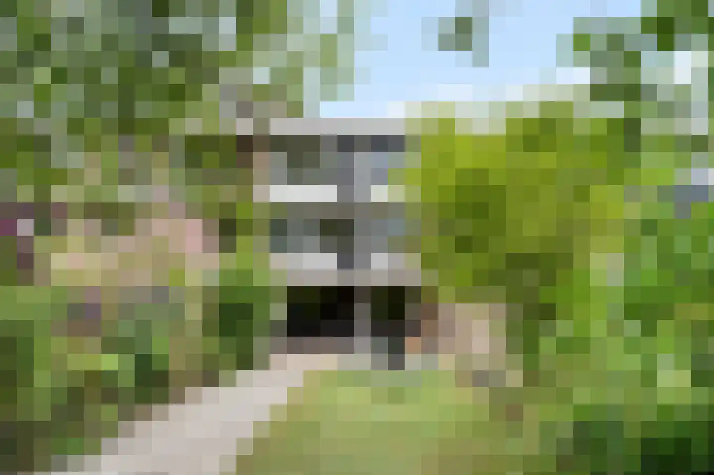 Elviraland 43 Den Haag thumbnail 44