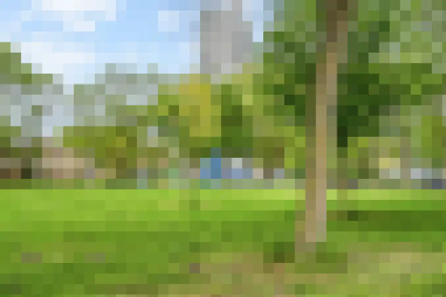 Elviraland 43 Den Haag thumbnail 47