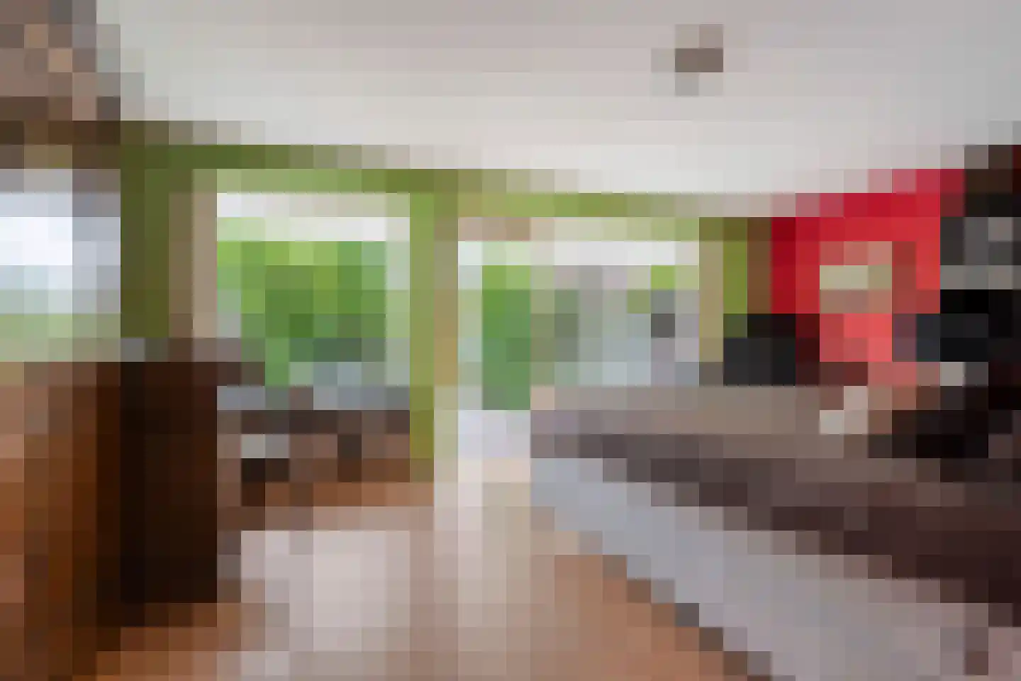Elviraland 43 Den Haag thumbnail 5