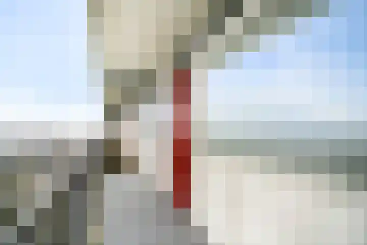 Elviraland 94 Den Haag thumbnail 28