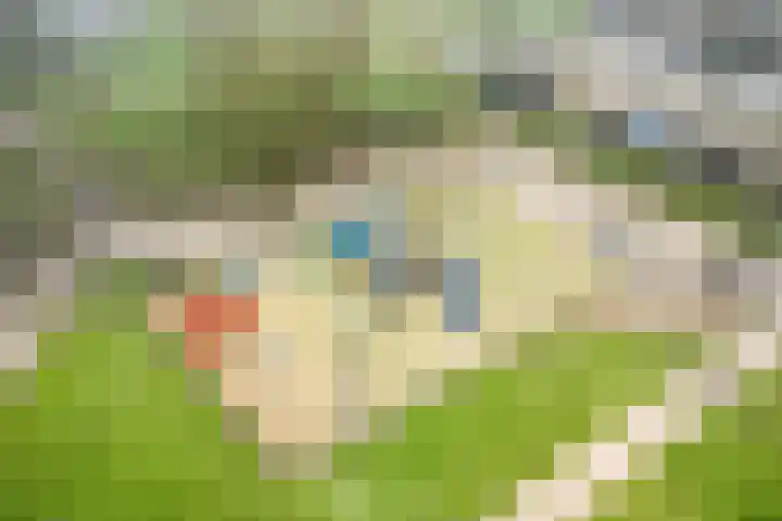 Elviraland 94 Den Haag thumbnail 31