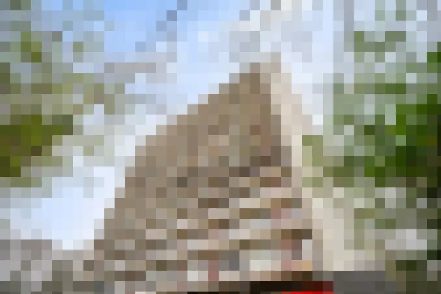 Elviraland 94 Den Haag thumbnail 34