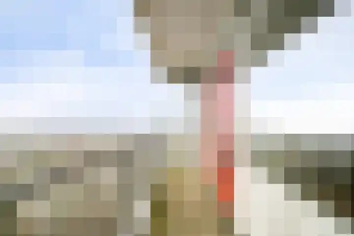 Elviraland 94 Den Haag thumbnail 8