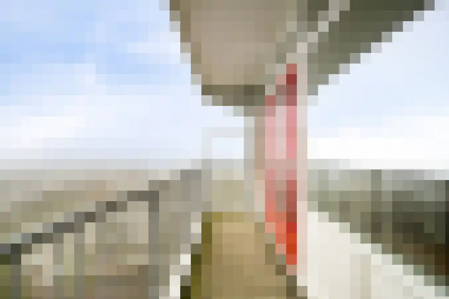 Elviraland 94 Den Haag thumbnail 8