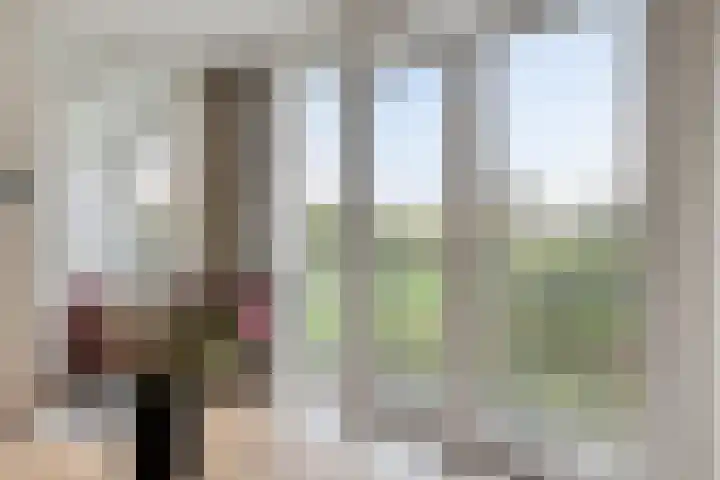 Elvis Presleylaan 11 Goes thumbnail 15