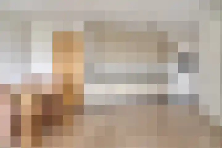 Elvis Presleylaan 11 Goes thumbnail 16