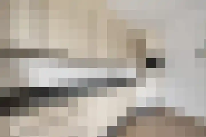 Elvis Presleylaan 11 Goes thumbnail 17