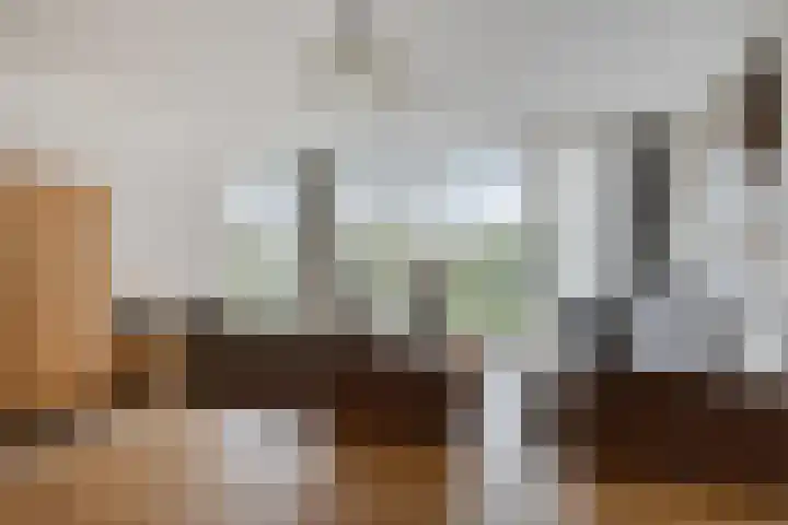 Elvis Presleylaan 11 Goes thumbnail 18