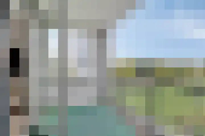 Elvis Presleylaan 11 Goes thumbnail 20