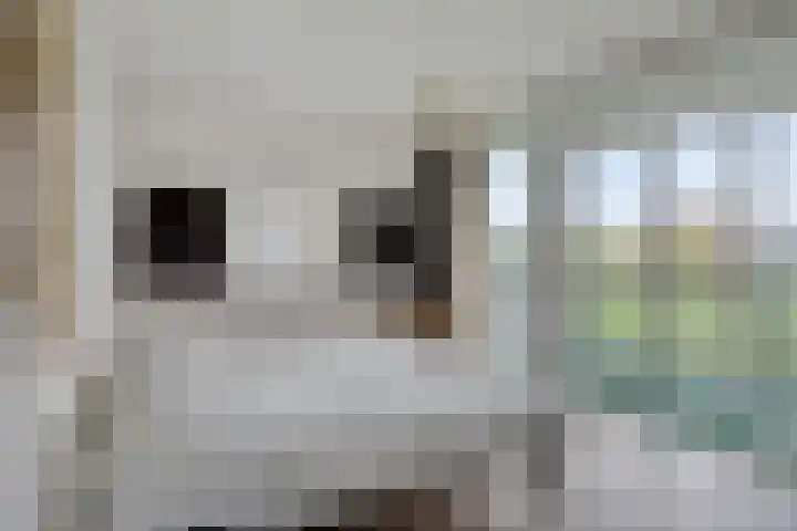 Elvis Presleylaan 11 Goes thumbnail 21