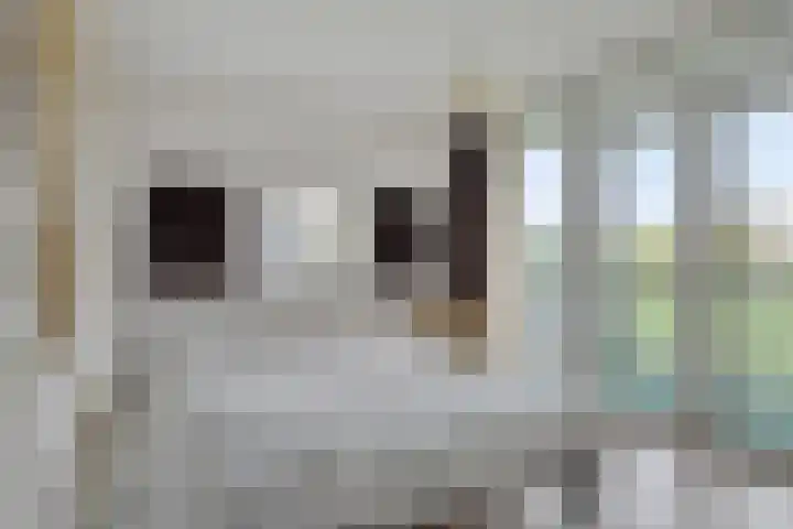 Elvis Presleylaan 11 Goes thumbnail 22