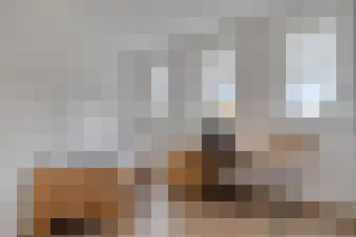 Elvis Presleylaan 11 Goes thumbnail 27