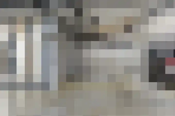 Elvis Presleylaan 11 Goes thumbnail 29
