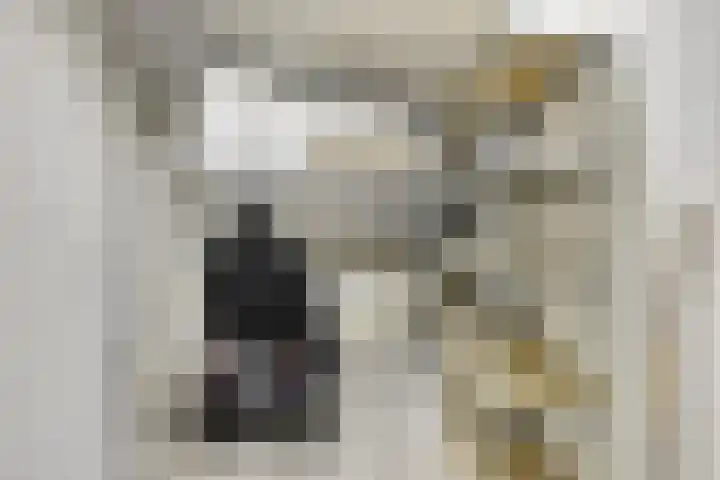 Elvis Presleylaan 11 Goes thumbnail 30