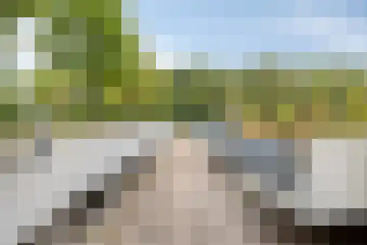 Elvis Presleylaan 11 Goes thumbnail 31