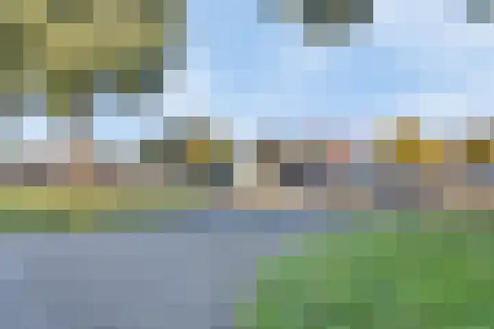 Elvis Presleylaan 11 Goes thumbnail 32