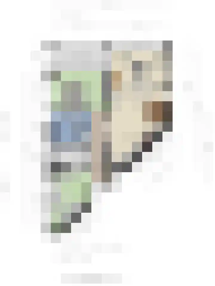 Elvis Presleylaan 11 Goes thumbnail 33
