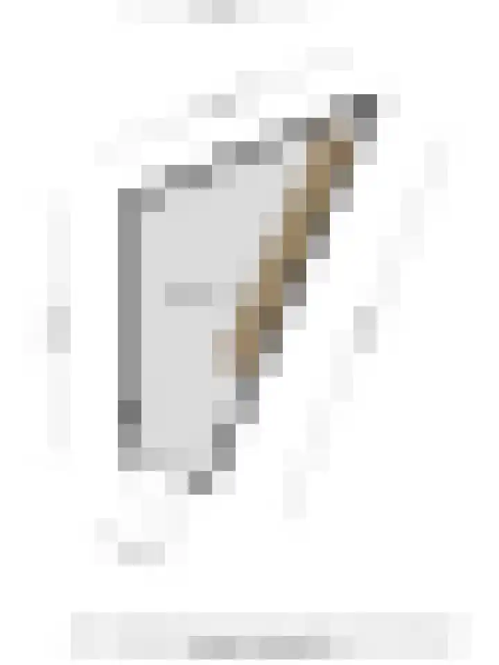 Elvis Presleylaan 11 Goes thumbnail 34