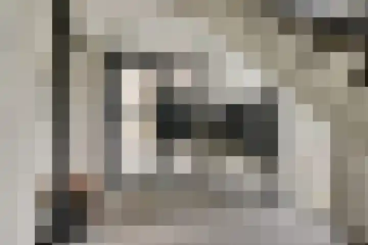 Elvis Presleylaan 11 Goes thumbnail 7