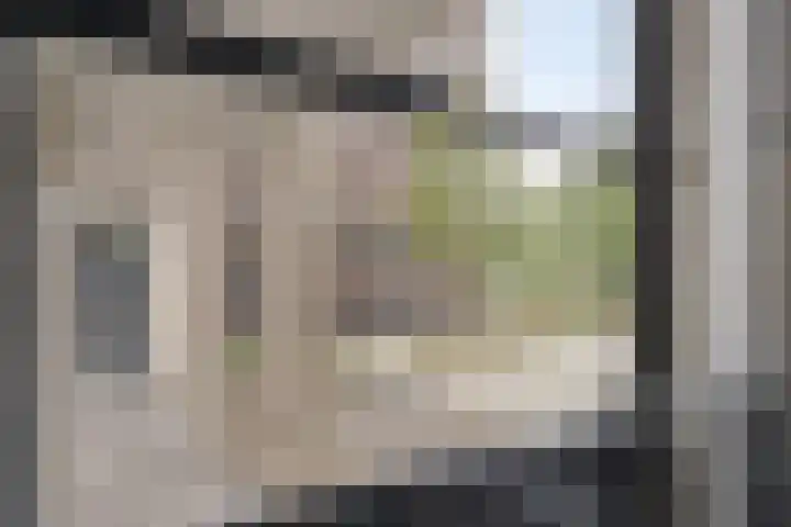Elvis Presleylaan 11 Goes thumbnail 8