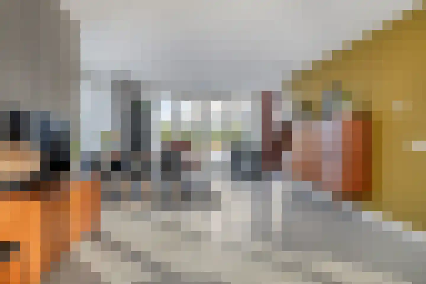 Elvis Presleylaan 145 Goes thumbnail 17