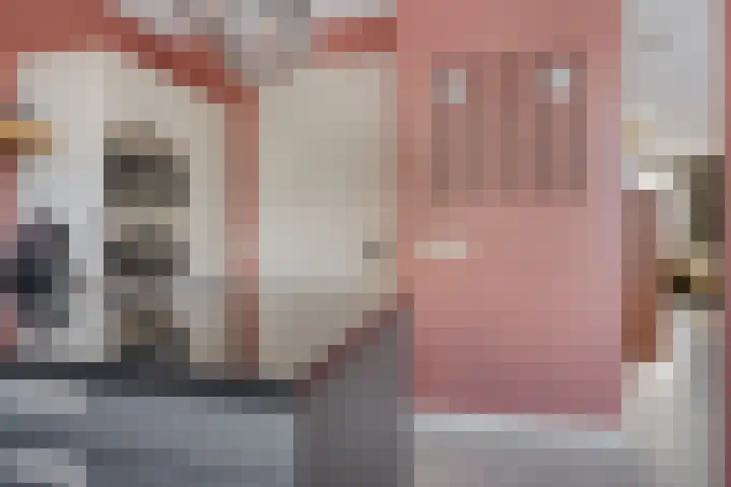Elvis Presleylaan 145 Goes thumbnail 23