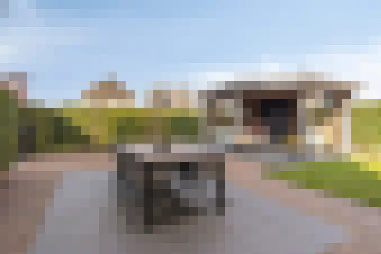 Elvis Presleylaan 145 Goes thumbnail 62