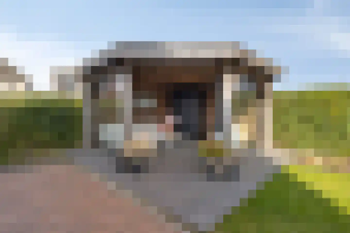 Elvis Presleylaan 145 Goes thumbnail 63