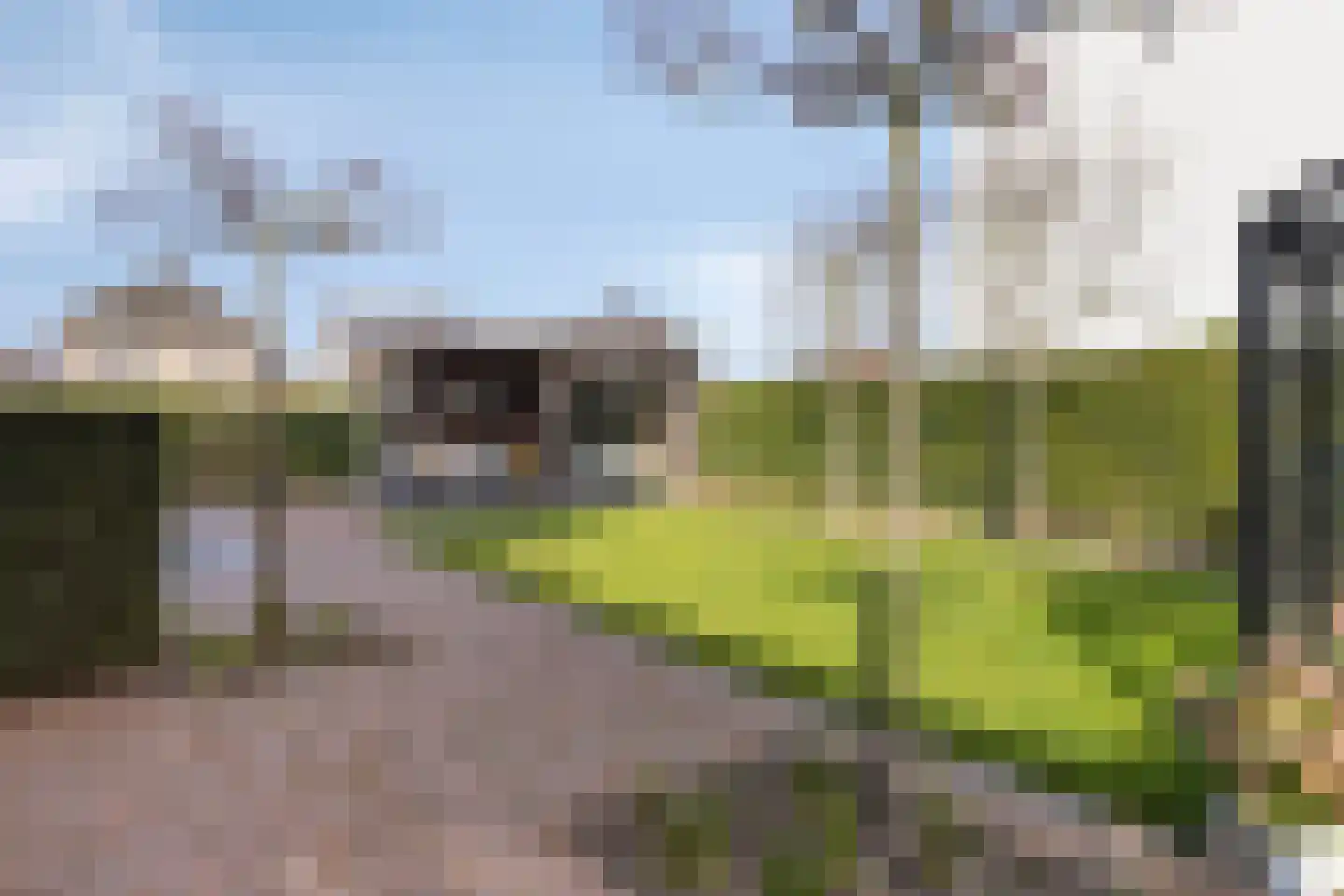 Elvis Presleylaan 145 Goes thumbnail 68