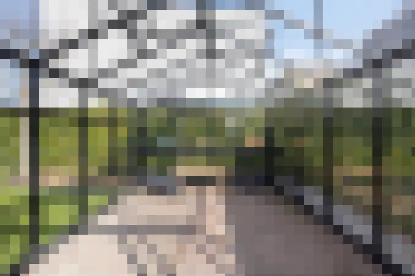 Elvis Presleylaan 145 Goes thumbnail 69
