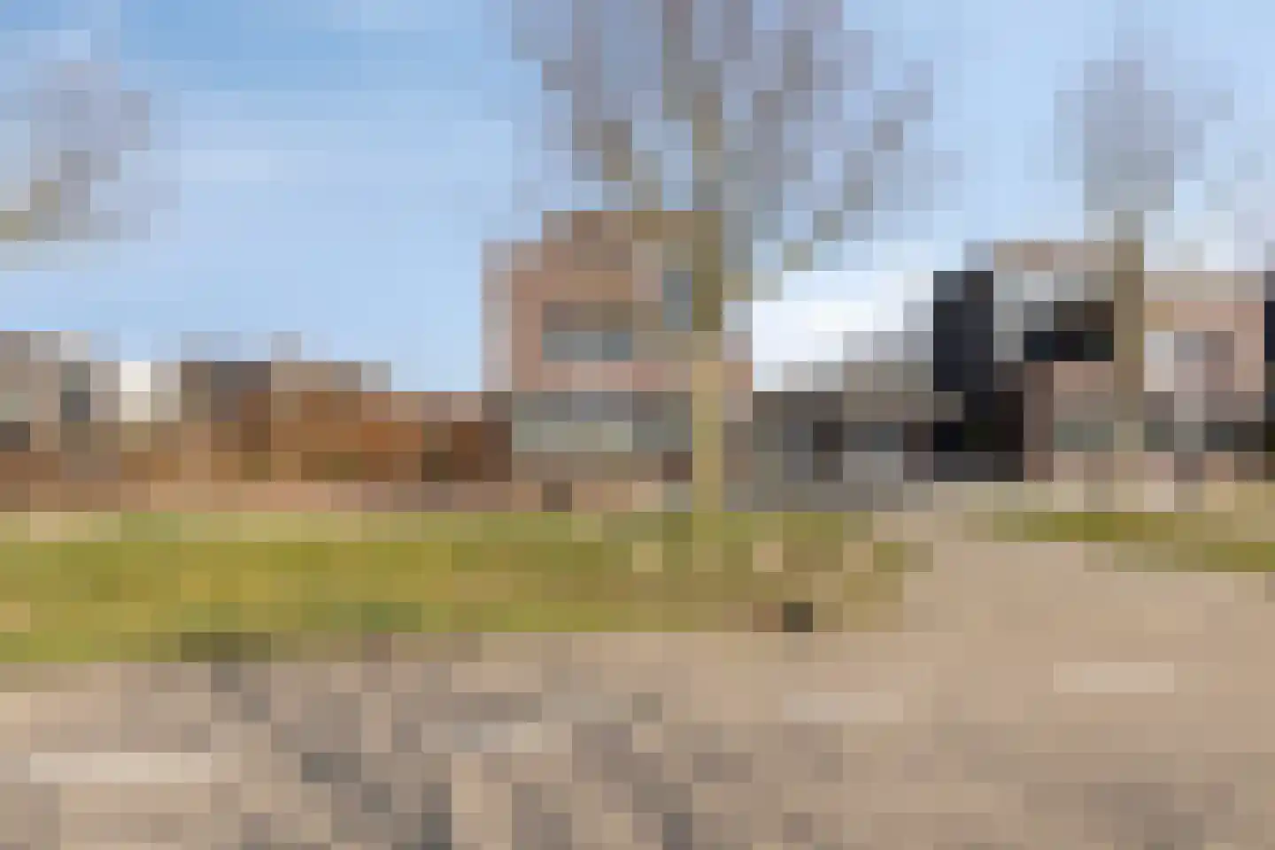 Elvis Presleylaan 145 Goes thumbnail 77