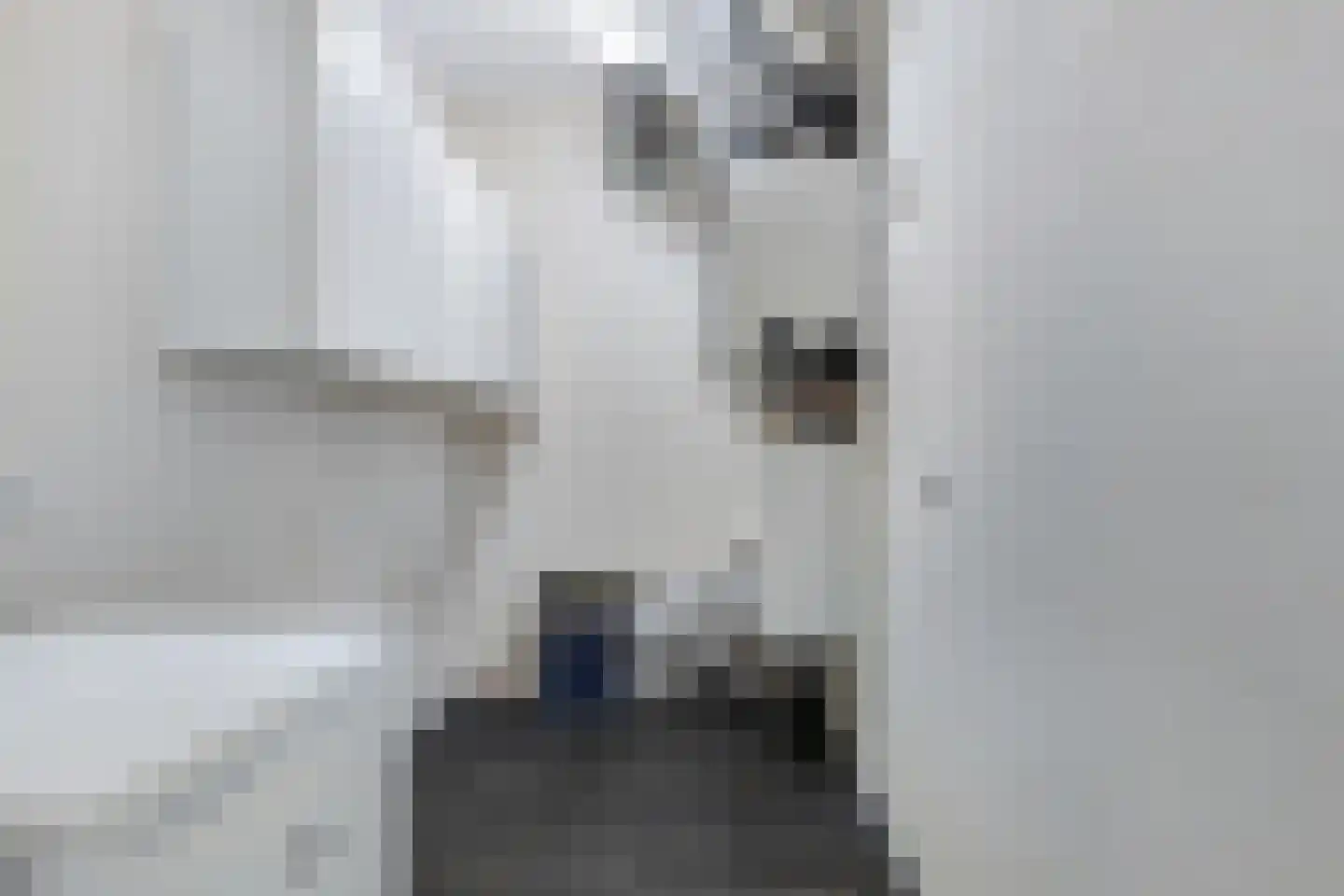 Elvis Presleylaan 21 Goes thumbnail 19