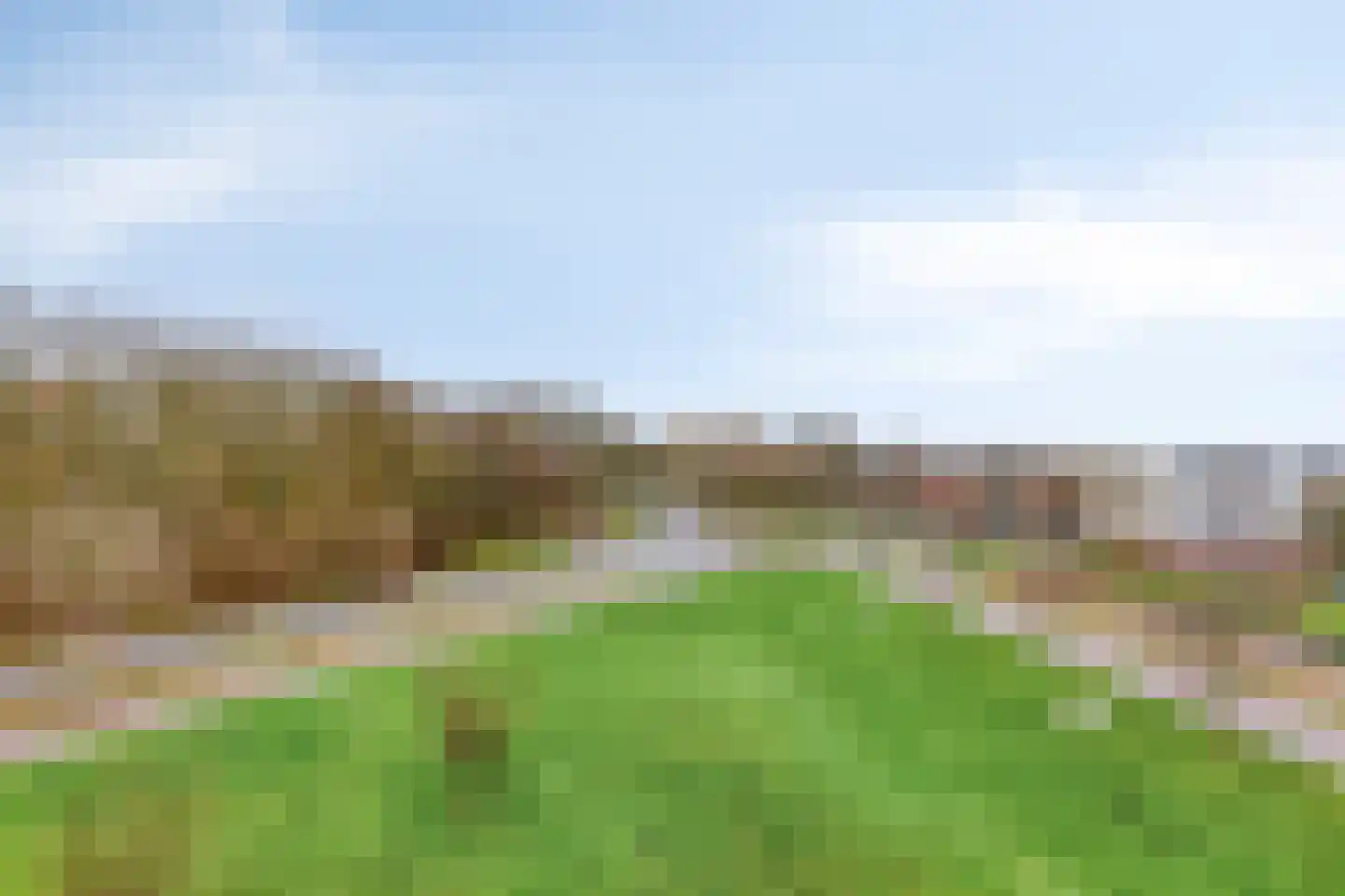 Elvis Presleylaan 21 Goes thumbnail 4