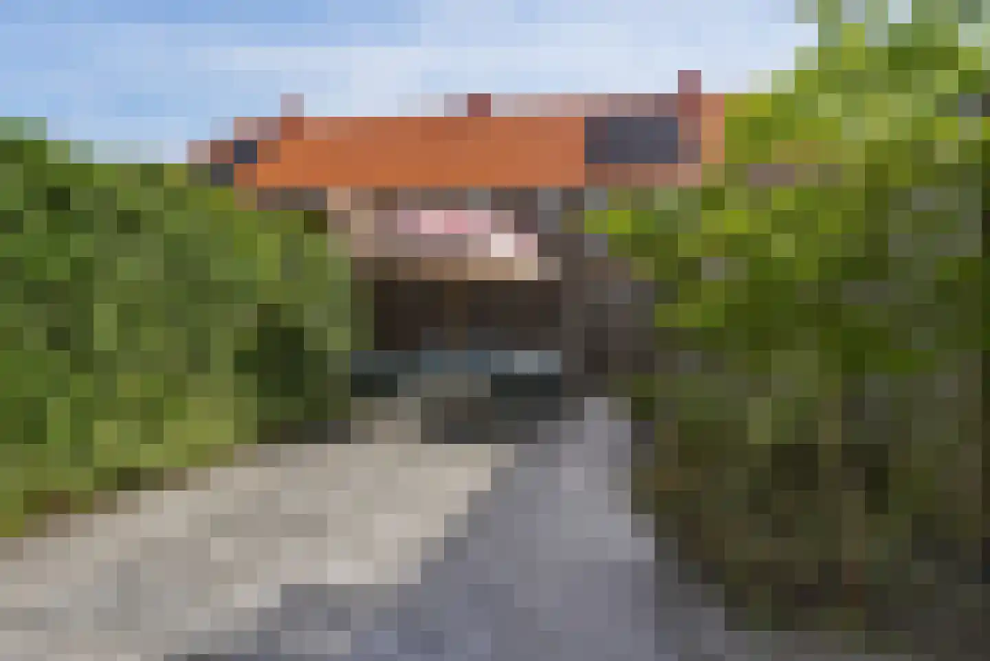 Elvis Presleystraat 19 Middelburg thumbnail 25