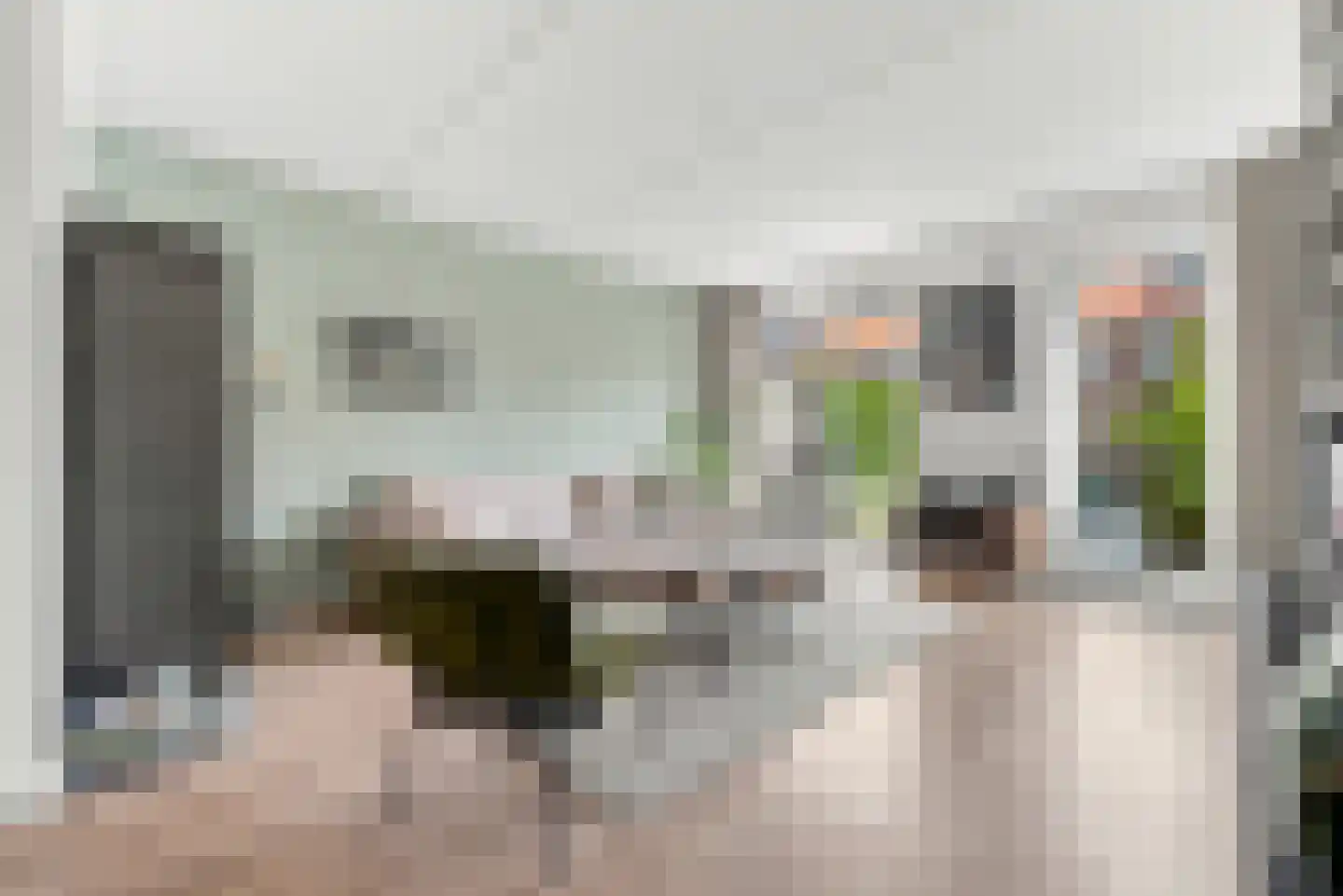 Elvis Presleystraat 19 Middelburg thumbnail 5