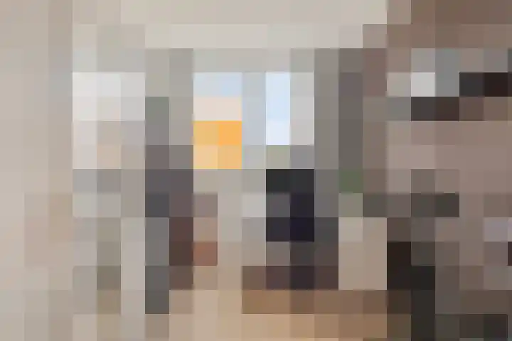 Elvis Presleystraat 27 Middelburg thumbnail 18